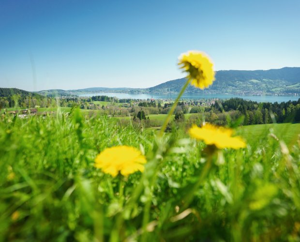 © Der Tegernsee, Dietmar Denger