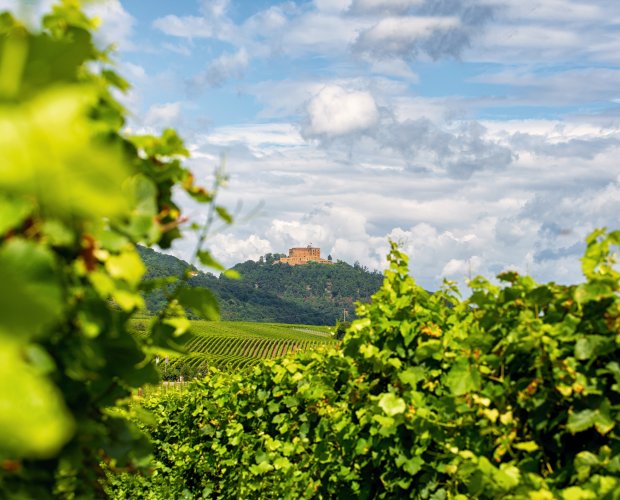 &copy; Marcel - stock.adobe.com