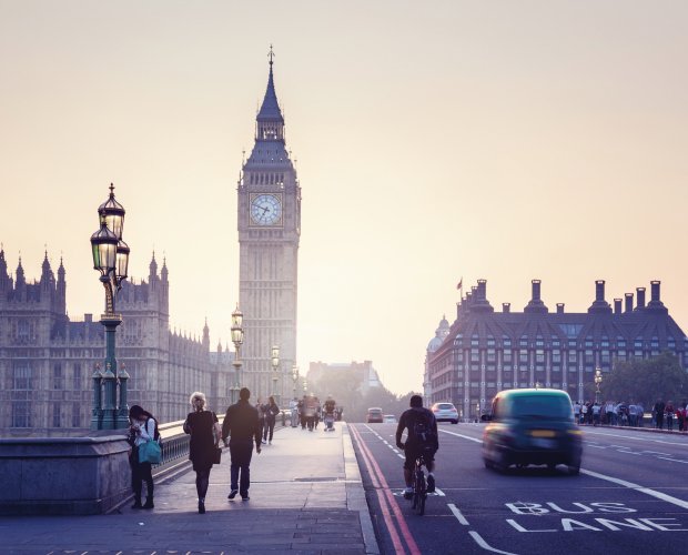 &copy; ESB Professional/shutterstock.com