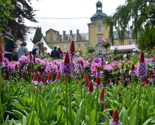 © Landpartie Schloss Bückeburg