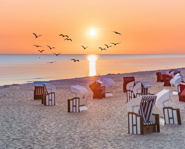 © haiderose - stock.adobe.com
