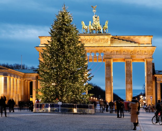 &copy; Roman Babakin - stock.adobe.com