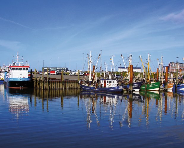 © Jürgen Hamann - stock.adobe.com
