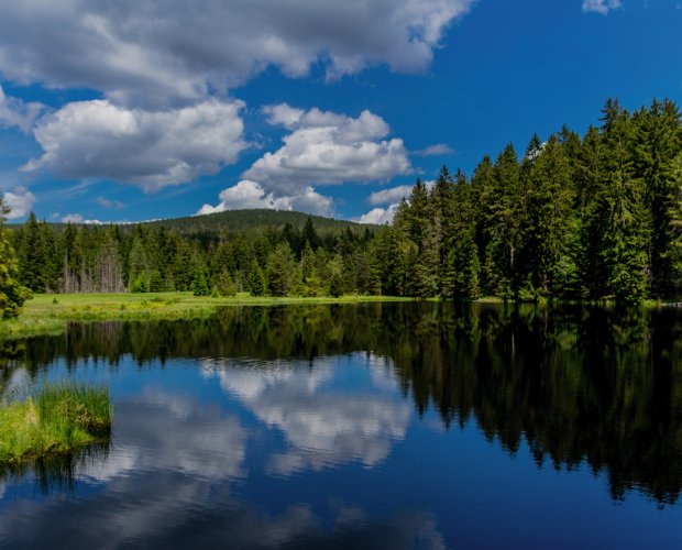 © Oliver Hlavaty - stock.adobe.com