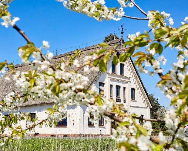 © Sven Fuchs - stock.adobe.com