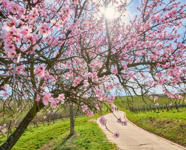 &copy; DZT/Jens Wegener