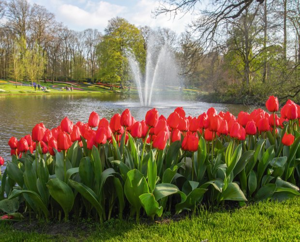 &copy; Keukenhof Holland