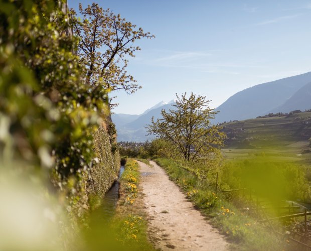© IDM Südtirol/Patrick Schwienbacher