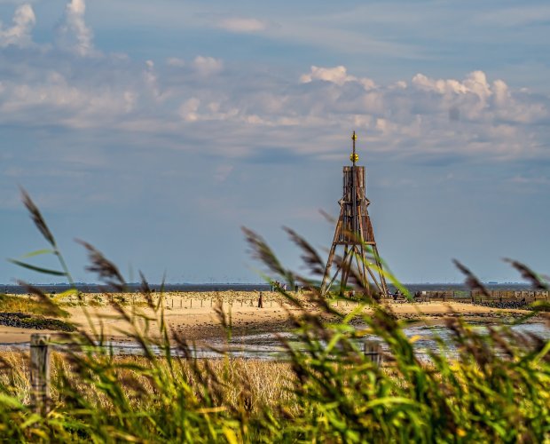 © thomasriess - stock.adobe.com
