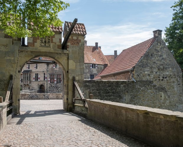 © AnnaReinert - stock.adobe.com