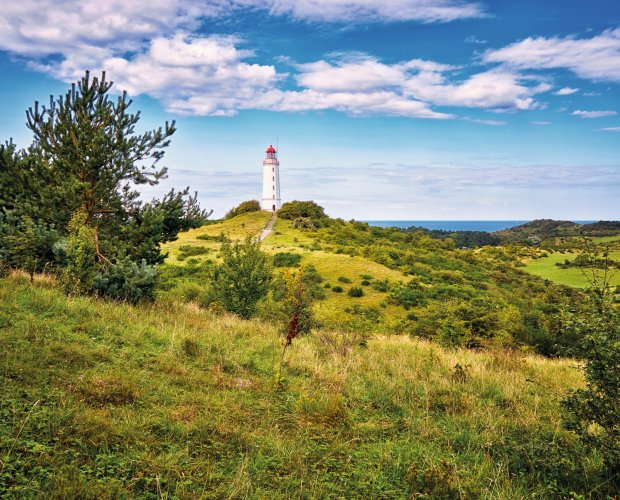 &copy; DR pics - stock.adobe.com