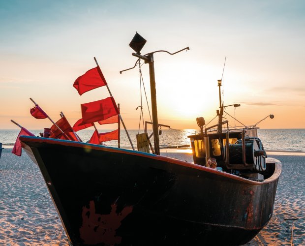 &copy; Elly Miller - stock.adobe.com