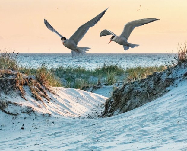&copy; Klaus Haase - stock.adobe.com