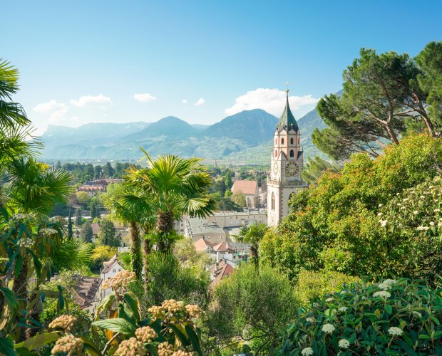 © ThomBal - stock.adobe.com