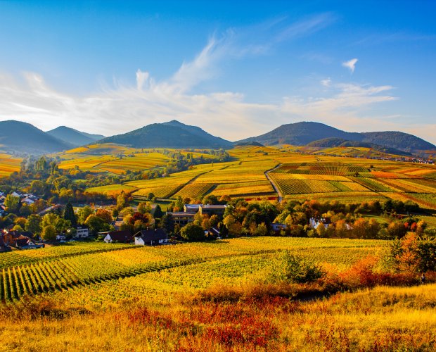 &copy; Schwitzke - stock.adobe.com