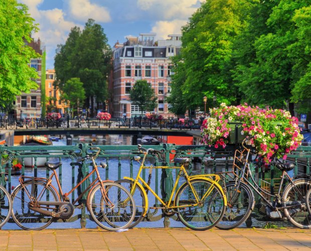 &copy; dennisvdwater - stock.adobe.com