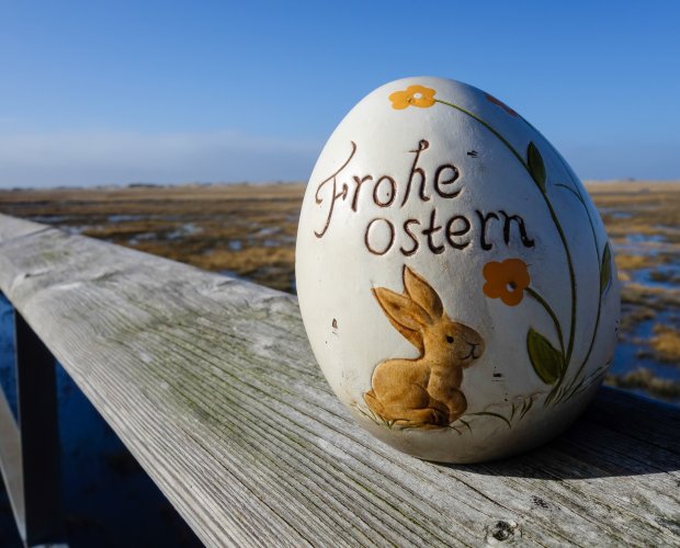 &copy; pusteflower9024 - stock.adobe.com