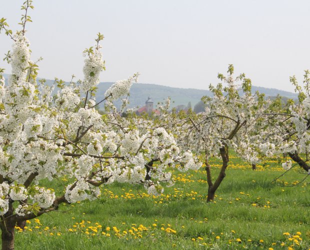 &copy; HA Hessen Tourismus/Claudia Krabbes