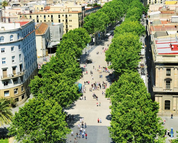 &copy; nito-fotolia.com