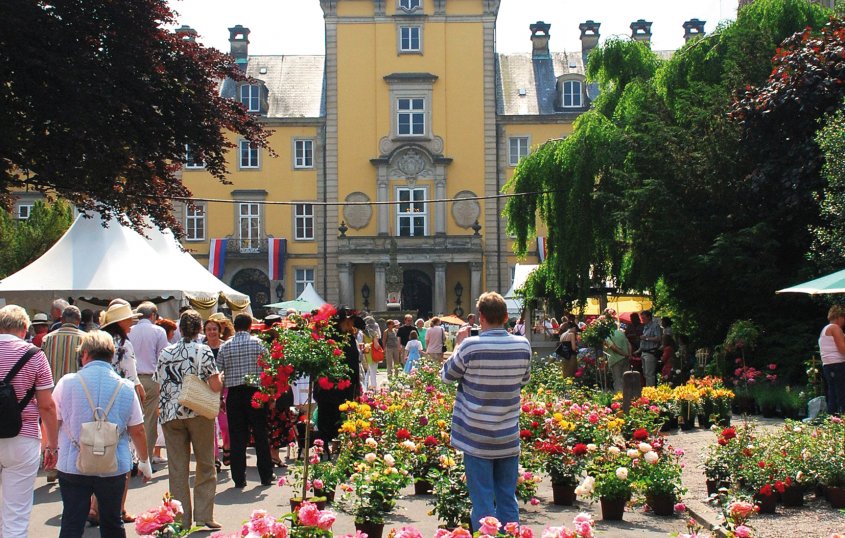Landpartie auf Schloss Bückeburg 
