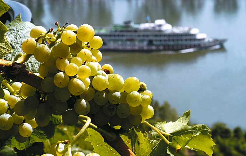 Schiffsfahrt auf dem Rhein © RLP Tourismus