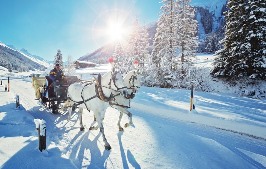 Pferdeschlittenfahrt im Dischmatal© Fotimmz-fotolia.com