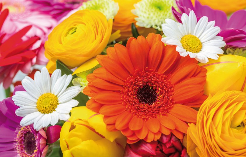 Blumen © Fotolia.com