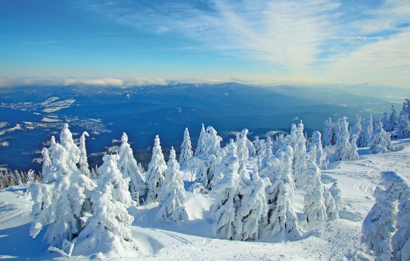 Winterlandschaft am Großen Arber © bietau-fotolia.com