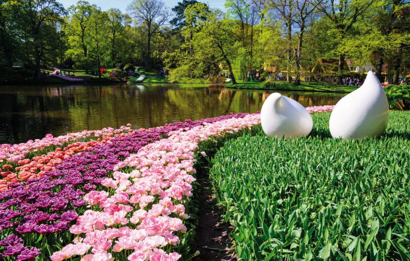 Im Keukenhof, Lisse © olenaznakk-fotolia.com
