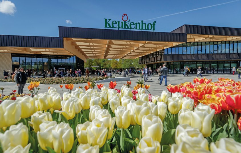 Auf dem Keukenhof © Keukenhof