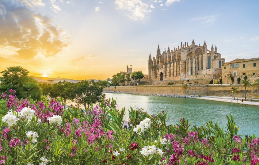 Kathedrale in Palma © Balate Dorin-fotolia.com