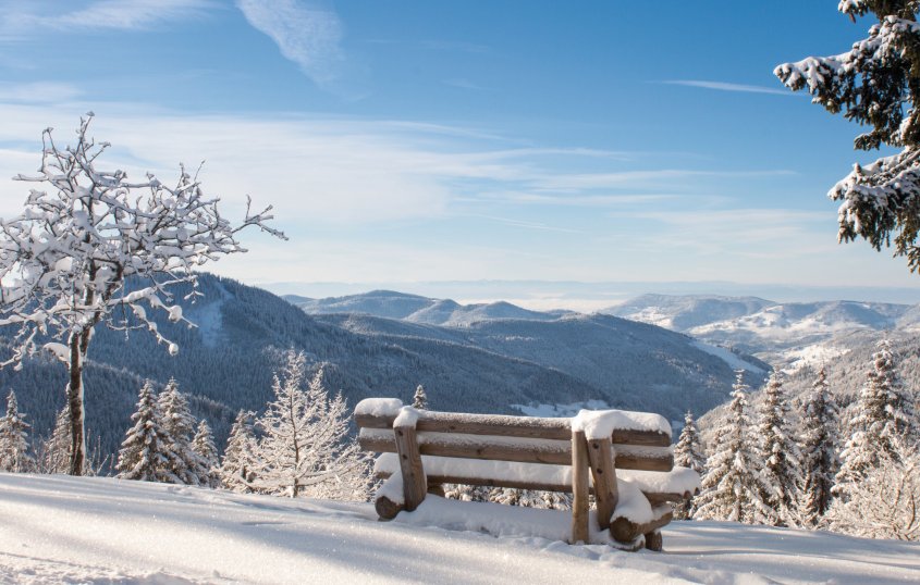 Schwarzwald im Winter © mafu_art-fotolia.com