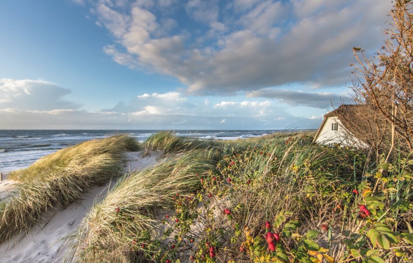 Urlaub an der See © Klaus Haase-stock.adobe.com