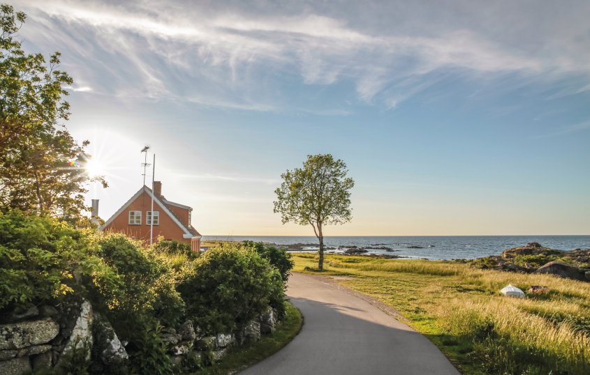 Küstenstraße auf Bornholm © cmfotoworks - stock.adobe.com