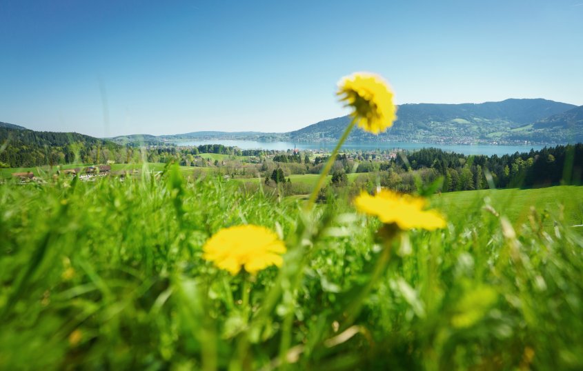 Blick zum Tegernsee &copy; Der Tegernsee, Dietmar Denger