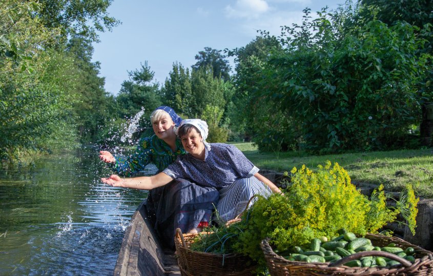 Gurkenernte im Spreewald© Peter Becker  / pixelio.de