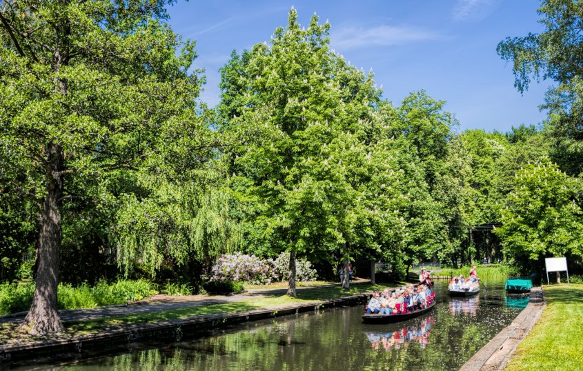 Kahnfahrt im Spreewald © ArTo - stock.adobe.com