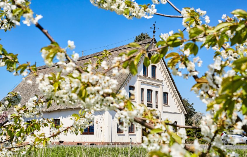 Reetgedecktes Haus im Alten Land © Sven Fuchs - stock.adobe.com