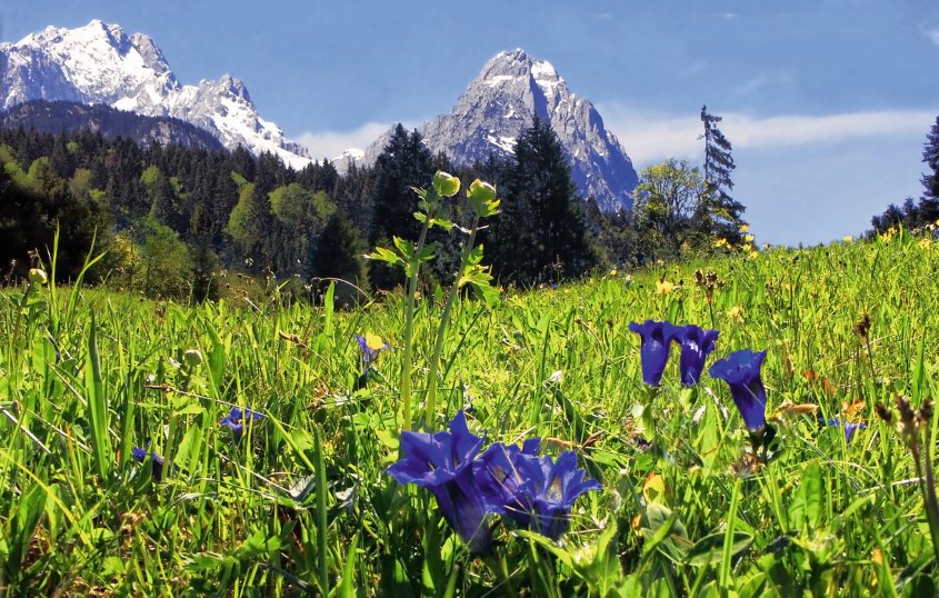 Blick auf die Zugspitze bei Garmisch-Partenkirchen© Michael Rucker - stock.adobe.com