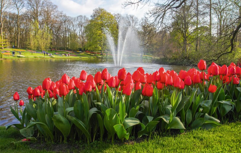Keukenhof Holland &copy; Keukenhof Holland