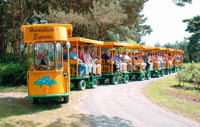 Heidelbeerplantage Wassermann - Heidelbeerexpress © www.wassermann-heidelbeeren.de